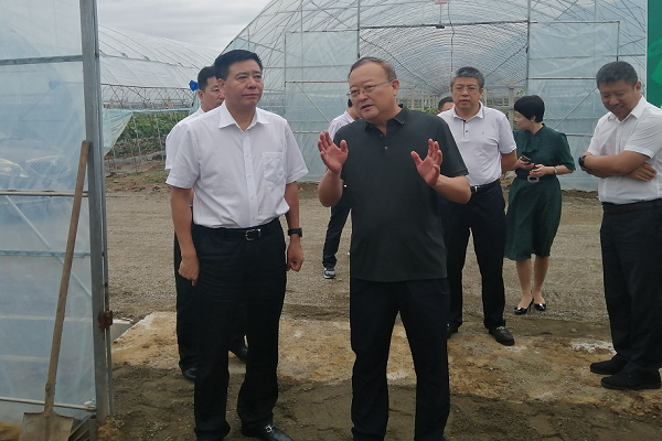 田树槐在本溪满族自治县调研时强调认真落实省委市委全会精神推动经济