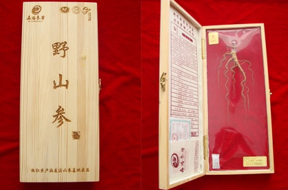 人参