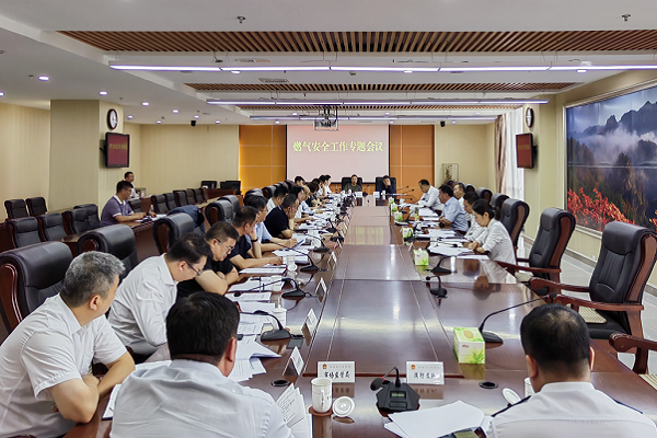我市召开燃气安全工作专题会议