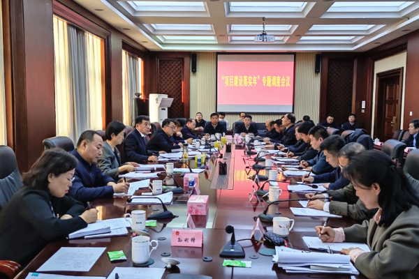 我市召开“项目建设落实年”专题调度会议
