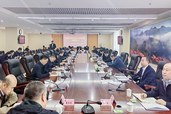 市政府党组会议和市政府常务会议召开