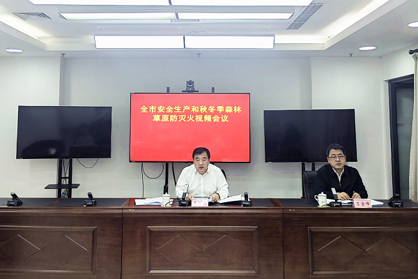 全市安全生产和秋冬季森林草原防灭火视频会议召开