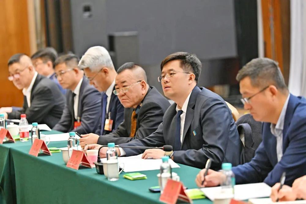 市人大代表分组审议政府工作报告、审查计划报告和预算报告