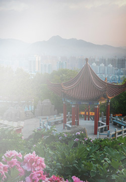 旅游景区