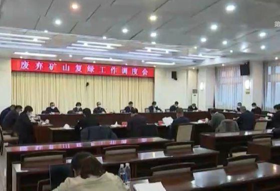 我市召开废弃矿山复绿工作调度会议