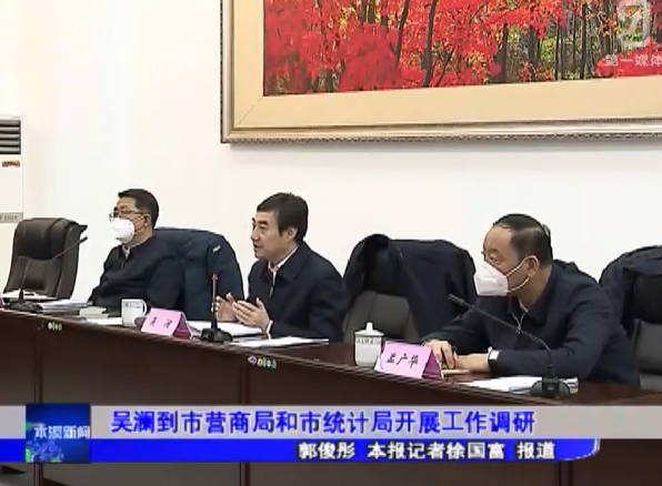 吴澜到市营商局和市统计局开展工作调研