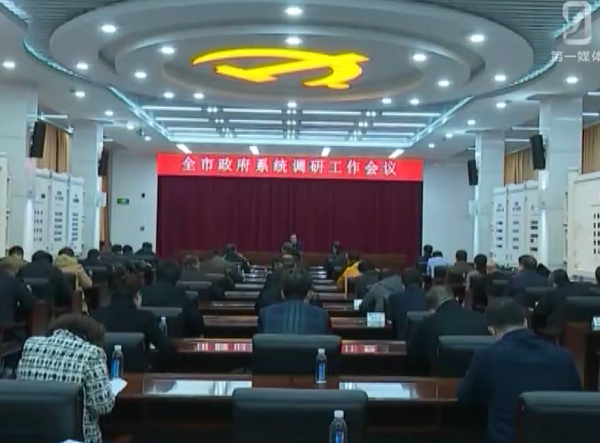 市政府：安排部署全市政府系统调研工作
