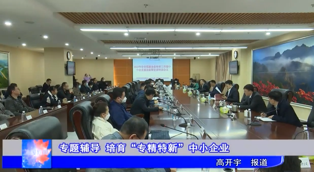 专题辅导 培育“专精特新”中小企业