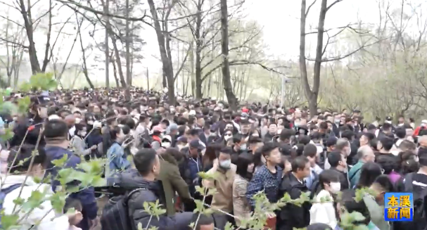 “五一”假期 我市文旅市场活跃兴旺