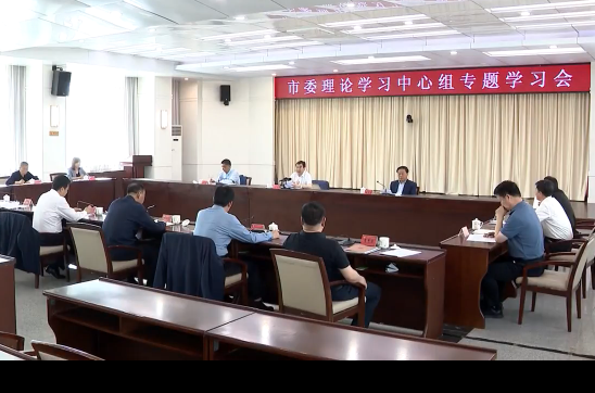 市委理论学习中心组专题学习 习近平总书记关于主题教育的系列重要讲话精神