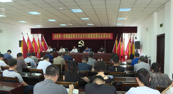 市委巡察组全面反馈十三届市委第三轮巡察情况