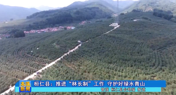 桓仁县：推进“林长制”工作 守护好绿水青山