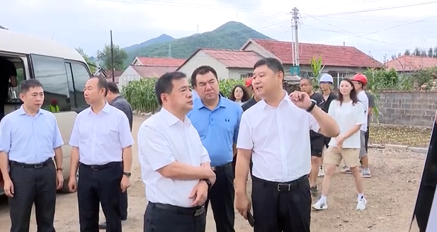 吴世民专题调研指导民生实事项目建设情况