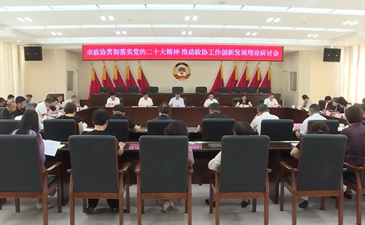 市政协召开“贯彻落实党的二十大精神推动政协工作创新发展”理论研讨会