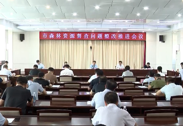 全市森林资源督查问题整改推进会议召开