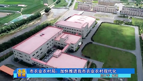 市农业农村局：加快推进我市农业农村现代化
