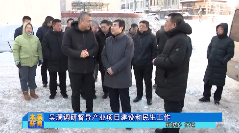 吴澜调研督导产业项目建设和民生工作