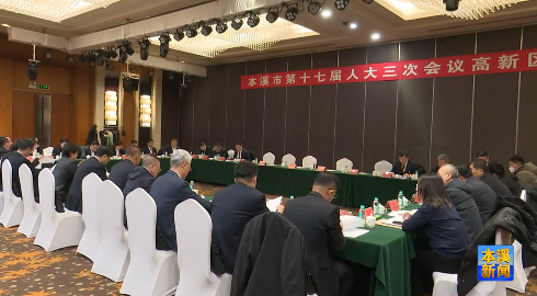 市人大代表分组审议市人大常委会及“两院”工作报告
