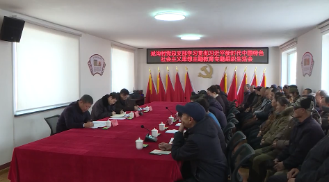 吴澜到所包联基层党组织指导点评主题教育专题组织生活会