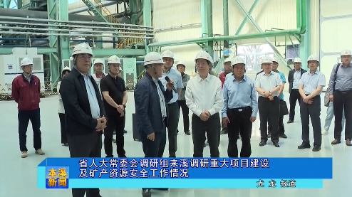 省人大常委会调研组来溪调研重大项目建设及矿产资源安全工作情况