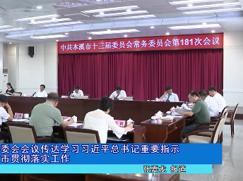 市委常委会会议传达学习习近平总书记重要指示研究我市贯彻落实工作