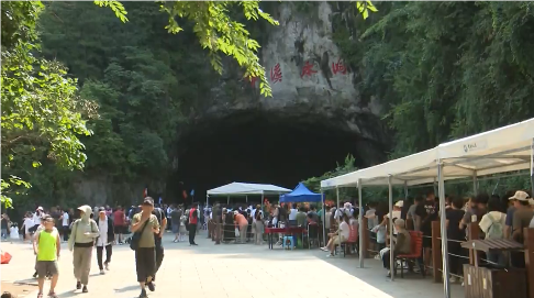 全国知名高校专家学者考察我市文旅产业