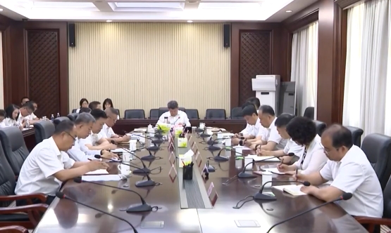 市政府党组（扩大）会议召开