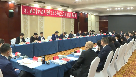 省十四届人大五次会议本溪代表团认真审议政府工作报告