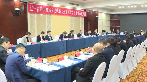 省十四届人大五次会议本溪代表团审议省人大常委会工作报告和省法院、省检察院工作报告