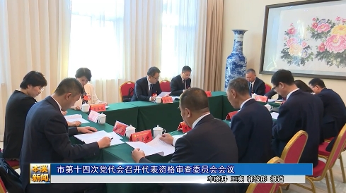 市第十四次党代会召开代表资格审查委员会会议